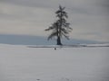 Armentara fields on Cross Mountain peak Monte croce in winter dolomites snow panorama val badia valley Royalty Free Stock Photo