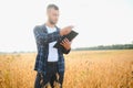 armer inspects soybeans before harvesting. The concept of agricultural industry