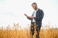 armer inspects soybeans before harvesting. The concept of agricultural industry