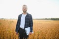 armer inspects soybeans before harvesting. The concept of agricultural industry