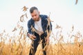 armer inspects soybeans before harvesting. The concept of agricultural industry