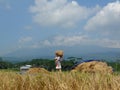 ARMERS PROCESS RICE BY CLEANING IT FROM GRAY TO PRODUCE QUALITY RICE IN RAWA PENING aMBARAWA Royalty Free Stock Photo