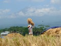 ARMERS PROCESS RICE BY CLEANING IT FROM GRAY TO PRODUCE QUALITY RICE IN RAWA PENING aMBARAWA Royalty Free Stock Photo