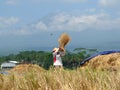 ARMERS PROCESS RICE BY CLEANING IT FROM GRAY TO PRODUCE QUALITY RICE IN RAWA PENING aMBARAWA Royalty Free Stock Photo