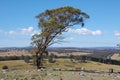 Armidale bush landscape Royalty Free Stock Photo