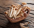 Armillaria mellea or honey mushrooms in the wooden bowl on the table