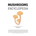 Armillaria mushroom icon
