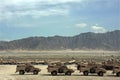 Armored Vehicles Ready for Issue in Afghanistan Royalty Free Stock Photo