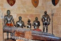 Medieval Knights