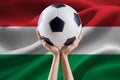 Arms holding ball with flag of Hungary Royalty Free Stock Photo