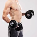 Arms muscle, dumbbells and bodybuilder man workout in studio for fitness and exercise with tattoo. Gray background Royalty Free Stock Photo