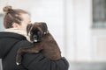 people on a walk with their pet dogs Royalty Free Stock Photo