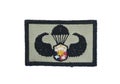 Army Airborne wings patch, Philippines, Isolated Royalty Free Stock Photo