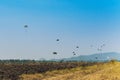 Army cadet paratroopers in military uniform landing on field. Skydiver paratrooper in parachute dome lands in the set area to land