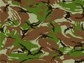 Army camouflage