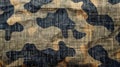 Army Camouflage fabric texture background