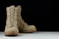 Army Combat Boots - Angle Royalty Free Stock Photo
