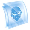 Army icon blue
