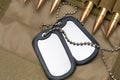 Army identification medallions, bandolier with cartridges, Concept: military special operation, sniper work in war, financing of w