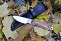 Knife stainless steel blade black leather pouch military weapon garden autumn nature Royalty Free Stock Photo