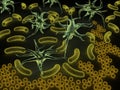 Army of Microbes Royalty Free Stock Photo