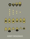 Army military insignia