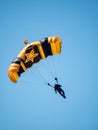 Army parachutist at air show Royalty Free Stock Photo