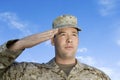 Army Soldier Saluting Royalty Free Stock Photo