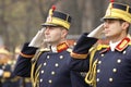 Army soldiers saluting Royalty Free Stock Photo