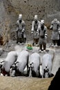 Army of Terracotta Warriors and Horses, Xian, China Royalty Free Stock Photo
