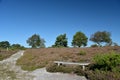 Arne Heath and Nature Reserve