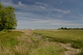 Arne Nature Reserve, Dorset