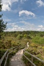 Arne Nature Reserve near Wareham
