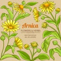 Arnica vector frame