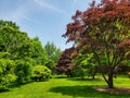 Arnold Arboretum of Harvard University trees in spring 2022.