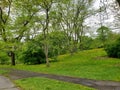 Arnold Arboretum of Harvard University trees in spring 2022.