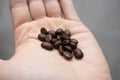 Coffee beans in the palm of your hand