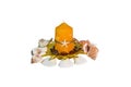 Aroma candle and seashells Royalty Free Stock Photo