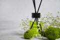 Aroma diffuser design product natural   product  liquid scented home, freshener beautiful gypsophila flower comfort Royalty Free Stock Photo