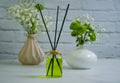 diffuser design product natural   product  liquid scented home, freshener beautiful gypsophila flower comfort Royalty Free Stock Photo