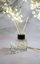 Aroma diffuser, home comfort freshener wellness product essence relax perfume product decoration