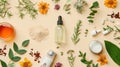 Aroma essential oil. Top view dropper bottle among colourful dried flowers, medicinal herbs variety. Natural cosmetic Royalty Free Stock Photo