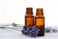 Aroma Oil in Bottles with Lavender Royalty Free Stock Photo