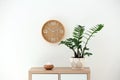 Aroma oil diffuser lamp and plant on cabinet Royalty Free Stock Photo