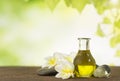 Aroma oil massage Royalty Free Stock Photo