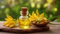 Aroma oil ylang ylang on a wooden background. Glass bottle with ylang ylang oil and ylang ylang flowers. Close-up, macro.