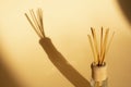 Aroma rattan sticks for scenting the room and the shadow on a beige background