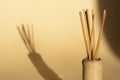 Aroma rattan sticks for scenting the room and the shadow on a beige background