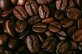 Aroma roasted coffee beans, brown background. Soft focus close up Royalty Free Stock Photo
