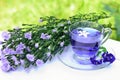 Aroma violet tea and blossoms Royalty Free Stock Photo